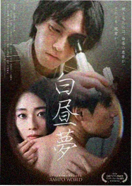 西北岁月
